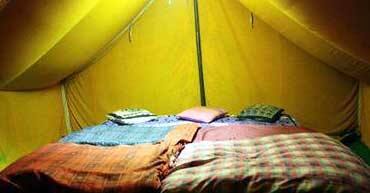 Camp Shivas Den, Nainital 3